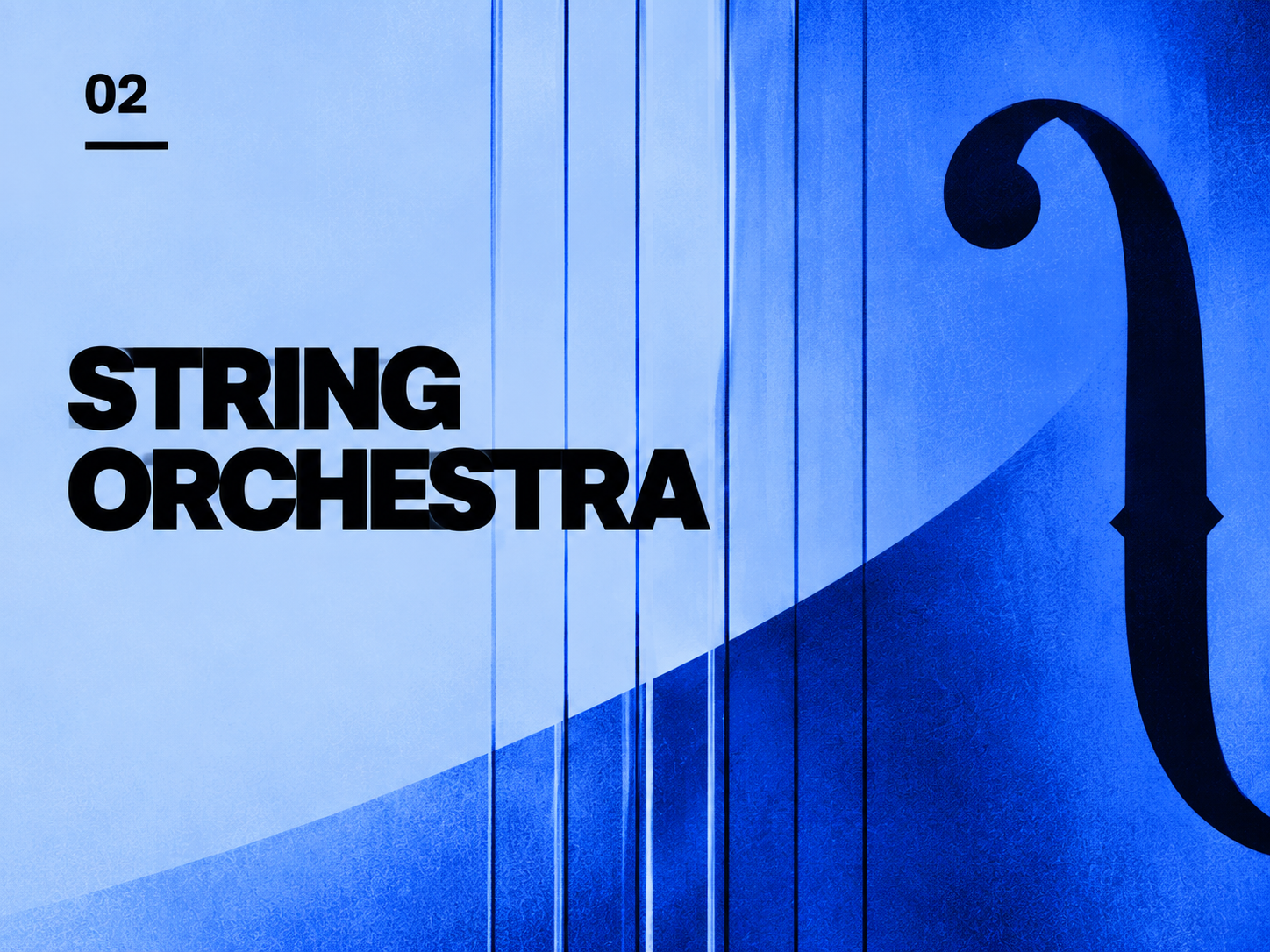 String Orchestra